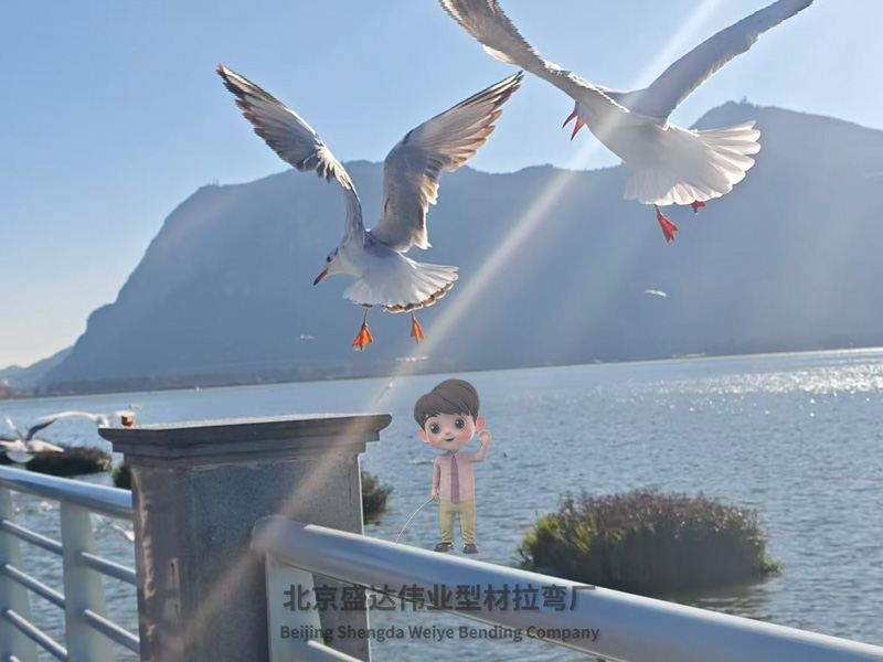 最近拉彎廠都在利用新質(zhì)生產(chǎn)力為2026年做好開年準(zhǔn)備